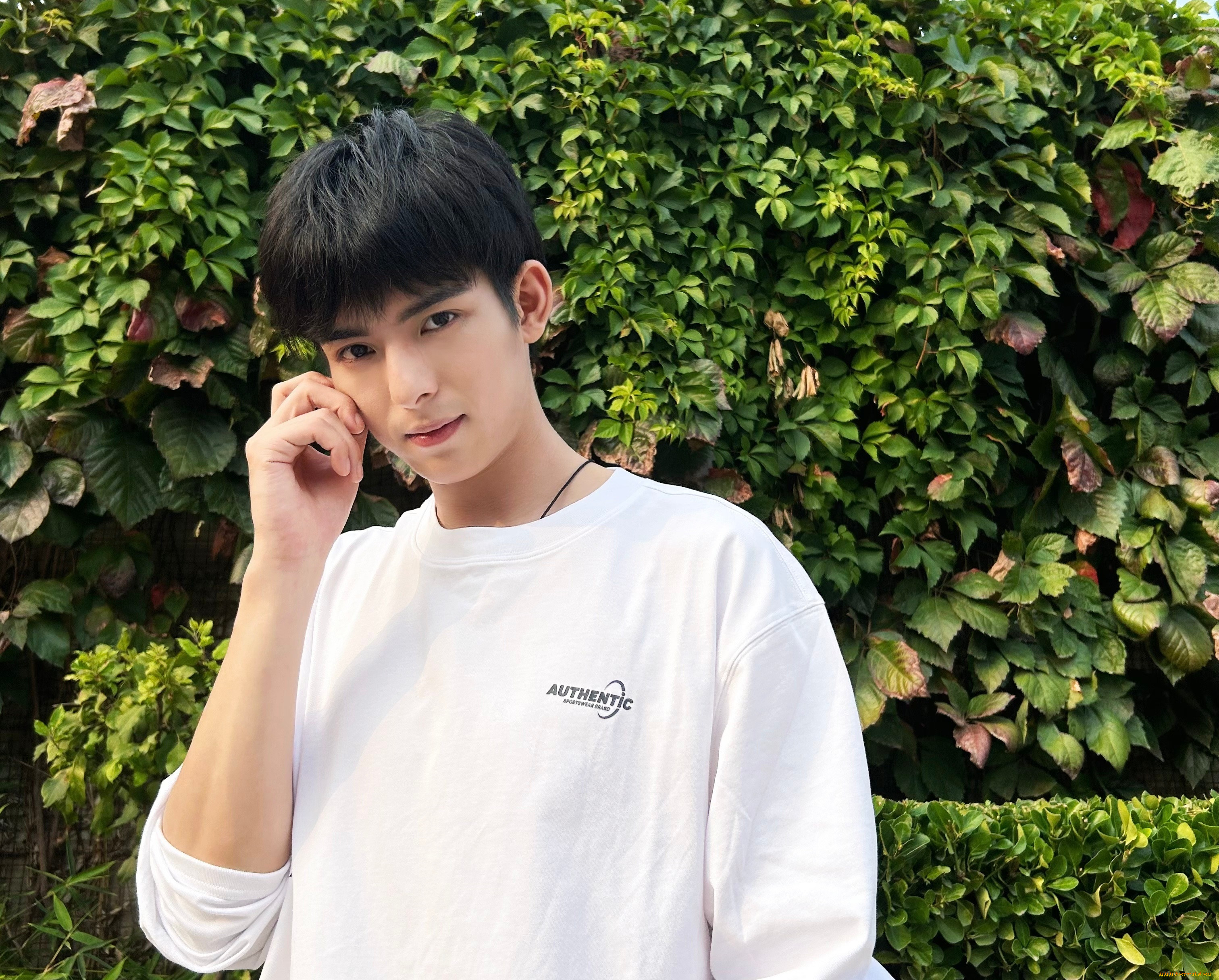 , wang hao xuan, , , 